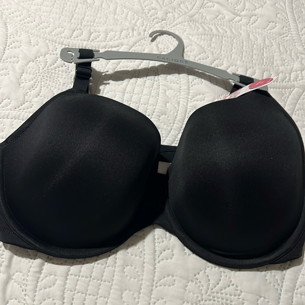 Brand new bra